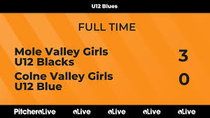 Image result for Colne Valley Football Club- Girls