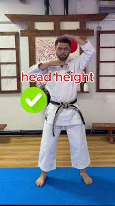 Image result for Zen Shin Seicho Do Adult Karate