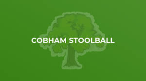 Image result for Ewhurst Stoolball Club