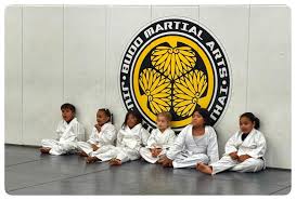 Image result for Budo Warrior Schools