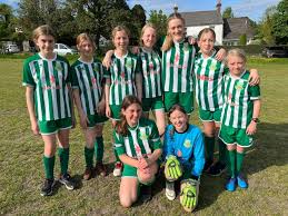 Image result for Frensham Football Club