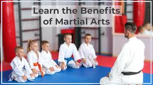 Image result for Arlington Martial Arts Academy