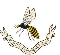 Image result for Wasps Football Club