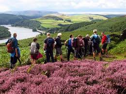 Image result for Peak Park Leisure Walks