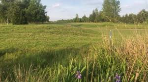 Image result for South Kyme Golf Club