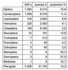 Attēlu rezultāti vaicājumam “Paramesus obtusifrons”