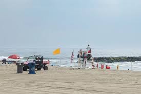 Image result for Dover Lifeguard Sc