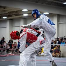 Image result for National Forest Taekwon-do