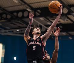 Image result for Aylesbury Dux Basketball Club