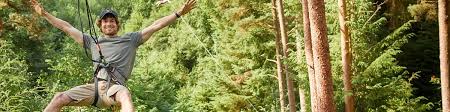 Image result for Go Ape! Leeds Castle