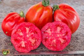 Afbeeldingsresultaat voor CDB tomato