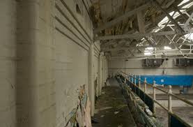 Image result for BRIGHOUSE SWIMMING CLUB