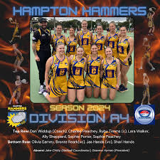 Image result for Hn Ladies Netball Club