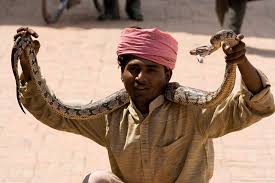 Image result for 20070322