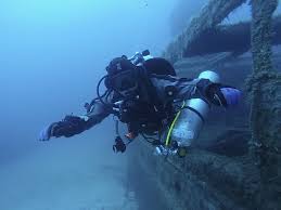 Image result for Stortford Divers