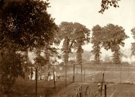 Image result for Charmouth Lawn Tennis Club