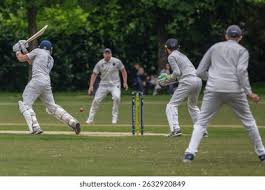 Image result for Bolney Cricket Club
