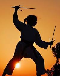 Image result for Sai Martial Arts