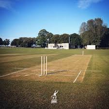 Image result for Over Stowey Cricket Club