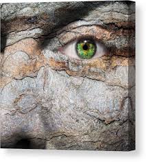 Image result for Lewandowsky-Lutz