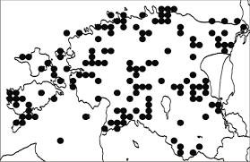 Attēlu rezultāti vaicājumam “Pertusaria amara”