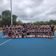 Image result for Swan Centre Netball Club