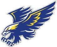 Image result for Waverley Netball Club