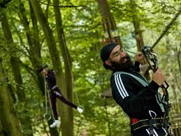 Image result for Go Ape! Dalby