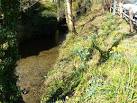 Stream near Egypt Mill, - via Daymix