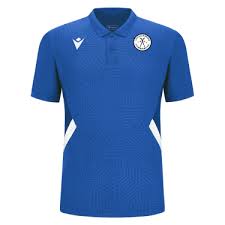 Image result for Lochcarron Camanachd