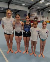 Image result for Croydon Gymnastics For Girls