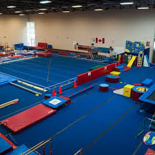 Image result for Phoenix Gymnastics