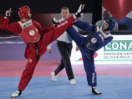 Image result for Reading Wtf Taekwondo