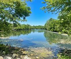 Image result for Go-Ride Bexley