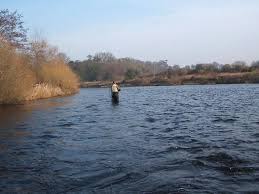 Image result for Carrick Angling Club