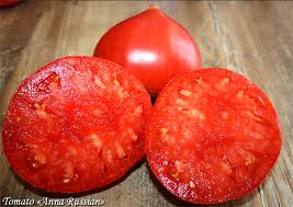 Afbeeldingsresultaat voor anna russian tomato