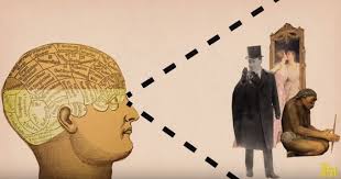 Image result for consciousness