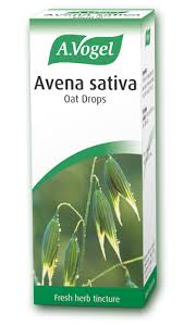Attēlu rezultāti vaicājumam “Avena sativa fruit”