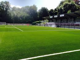 Image result for Whyteleafe Netball Club