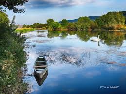 Image result for Carrick Angling Club