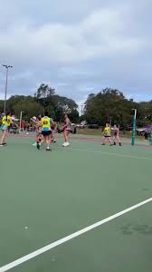 Image result for Ipswich Ladies Netball Club