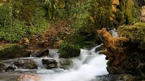 Image result for Peasedown-St-John Cc