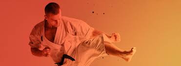 Image result for British Karate Shunen Jutsu