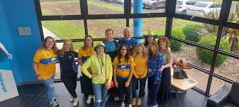 Image result for Clarehurlers