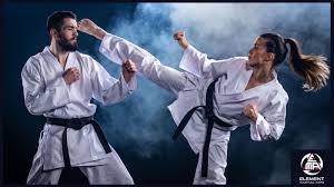Image result for Full Element Mixed Martial Arts