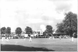 Image result for Antelope & Castle Cricket Club
