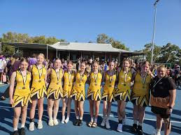 Image result for Swan Centre Netball Club