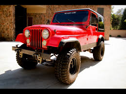 Image result for Sylvan Green 1981 Jaguar