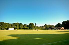 Image result for Alton Cricket Club