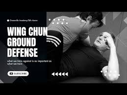 Image result for Norwich Autodefence Wing Tchun